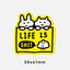 [Faraphic Studio] Silly Acrylic Magnet 💩