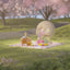 [Finding Unicorn] RiCO Happy Picnic Together Series Blind Box